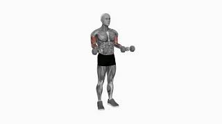 Bicep curl (PT session 2 - swap to the preacher curl every other week) video